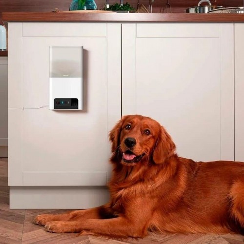 Petcube Bites 2 Lite