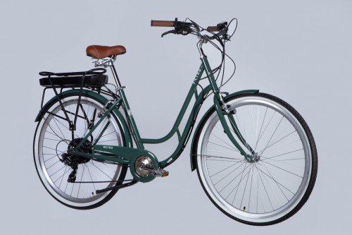 Dorozhnik eRetro Vbr FR 500W 2025
