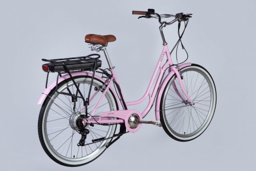 Dorozhnik eRetro Vbr FR 500W 2025