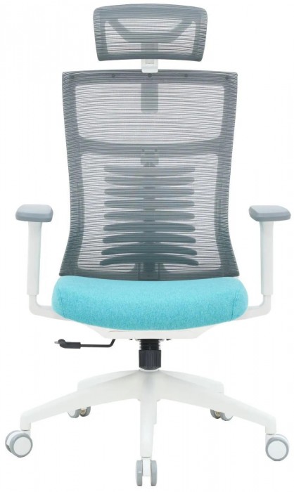 OfficePro Balance OC550