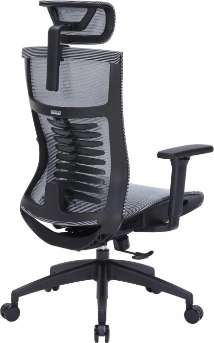 OfficePro Balance OC620