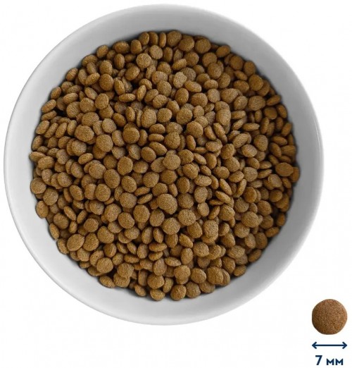 Home Food Kitten Lamb/Rice 10 kg