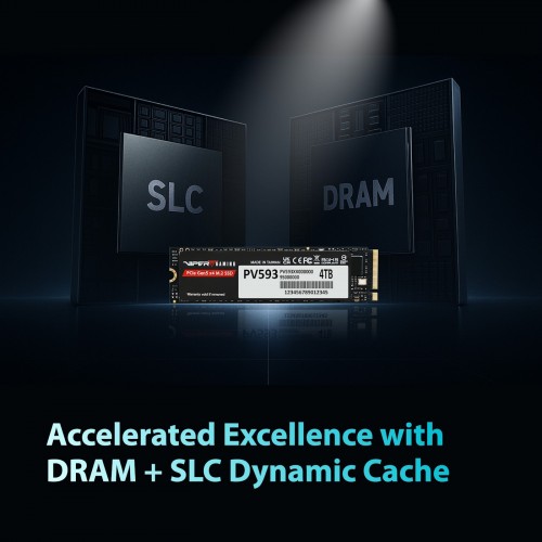 Patriot Memory PV593P4TBM28H