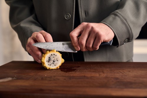 Zwilling Spectrum 1033080