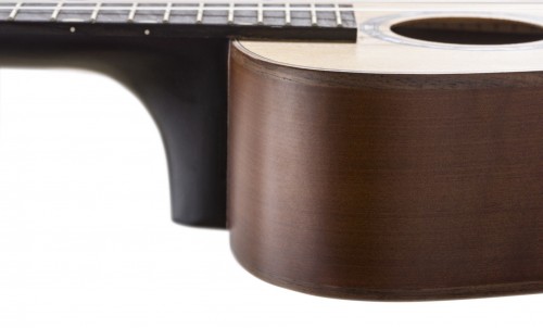 Baton Rouge UTW-C Wild Service Tree