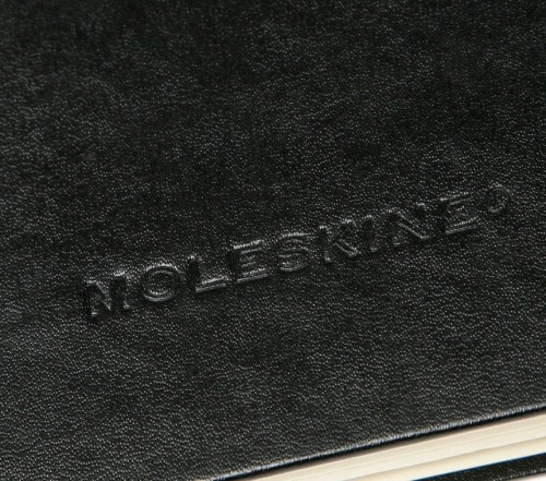 Moleskine Folio Squared Album