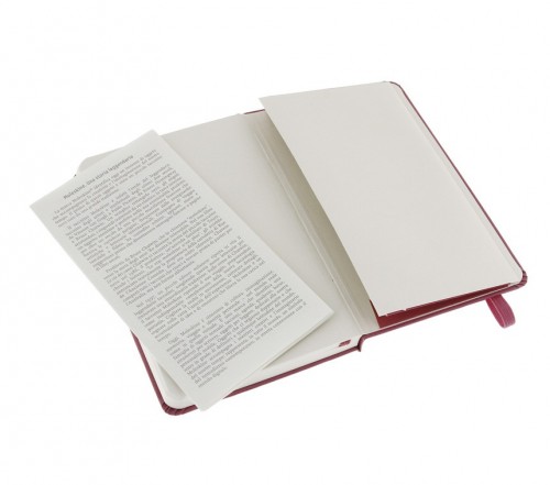 Moleskine Plain Notebook Large Pink