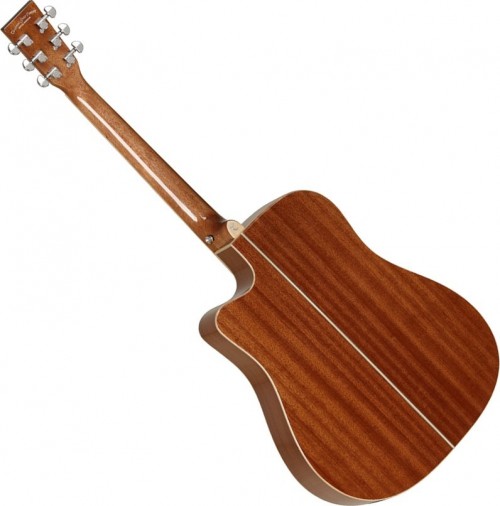 Tanglewood TW5