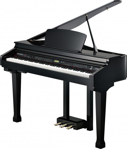 Kurzweil KAG100