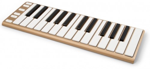 CME Xkey 25