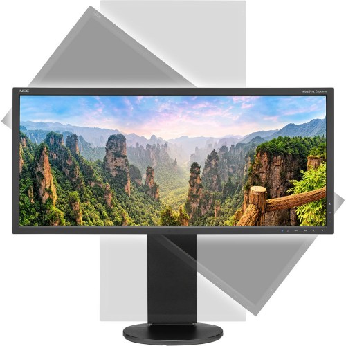 NEC EA295WMi