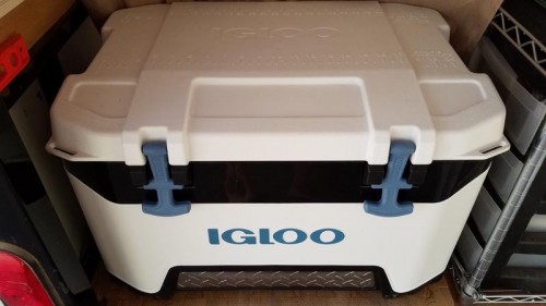 Igloo BMX 52 Quart Cooler