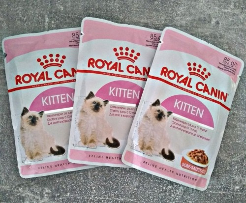 Royal Canin Kitten Instinctive Gravy Pouch 1.02 kg