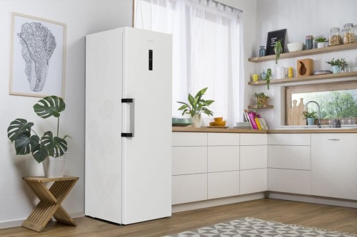 Gorenje FN 619 EAW6