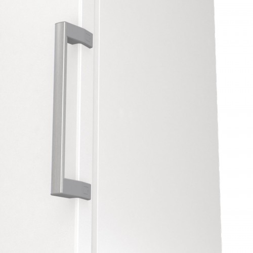 Gorenje FNP 619 EEW5L