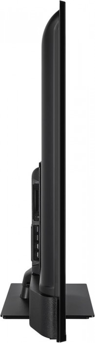 Panasonic TX-55JX600E