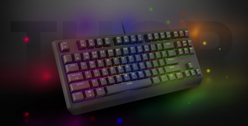 Genesis Thor 230 TKL Brown Switch