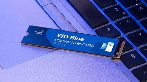 WD Blue SN5000