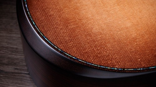 Taylor Builder's Edition 914ce WHB