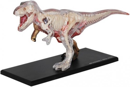 4D Master T-Rex 622013