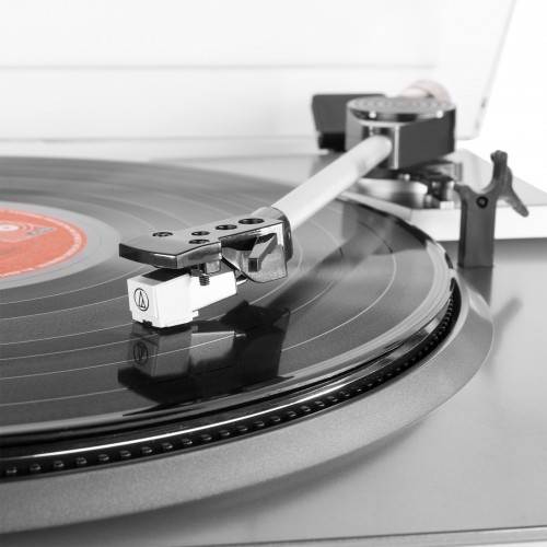 Audizio RP310