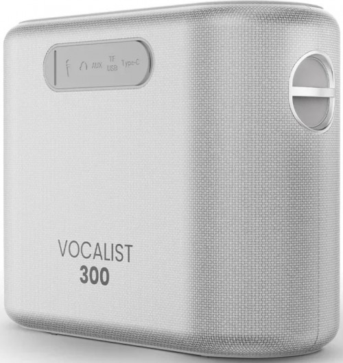 HiFuture Vocalist 300