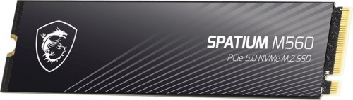MSI SPATIUM M560 PCIe 5.0 NVMe M.2