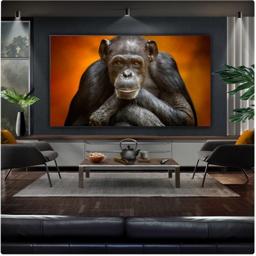 LG OLED97G5