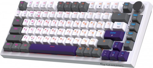 GamePro Genesis Warden