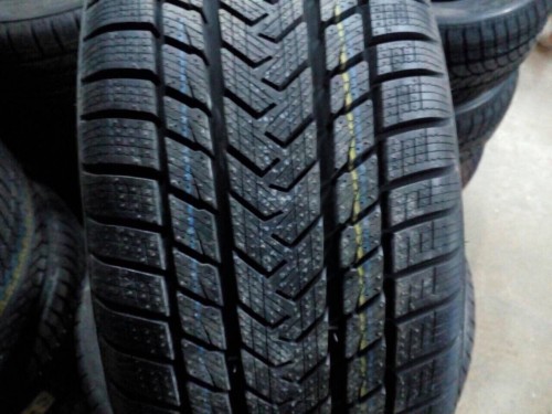 Gripmax Status Pro Winter 225/50 R17 98V