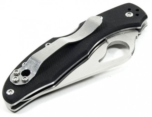 Spyderco Byrd Meadowlark 2 G10