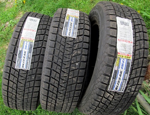 Bridgestone Blizzak DM-V1