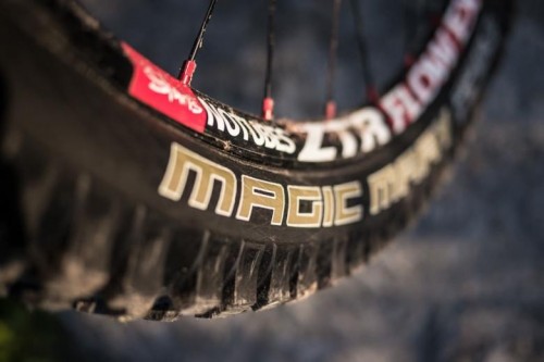 Schwalbe Magic Mary BikePark