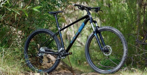 Marin Bobcat Trail 3 2021