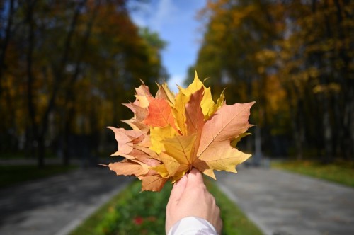 Nikon 28mm f/2.8 Z Nikkor SE