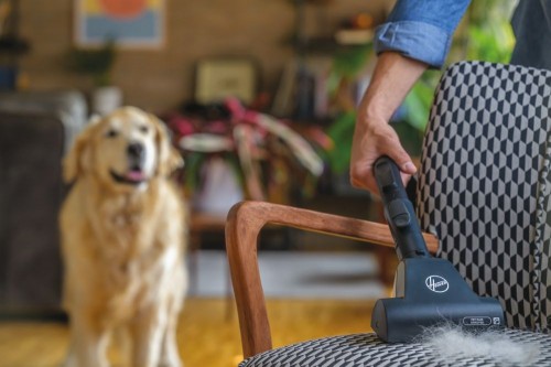 Hoover H-Energy 300 HE 722 PET