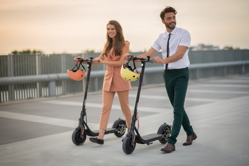 Ninebot KickScooter F25E II