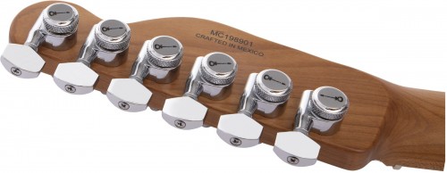 Charvel Pro-Mod So-Cal Style 2 24 HH 2PT CM Ash