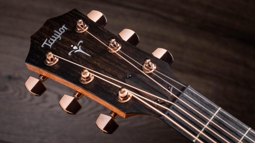Taylor 724ce