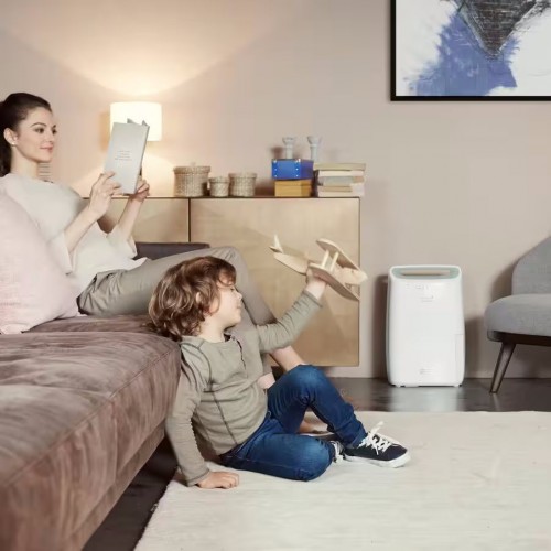 De'Longhi Tasciugo AriaDry Multi DEX212SF