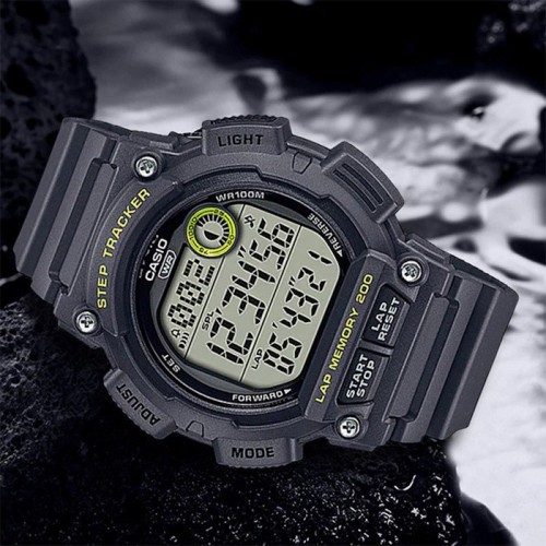 Casio WS-2100H-8A