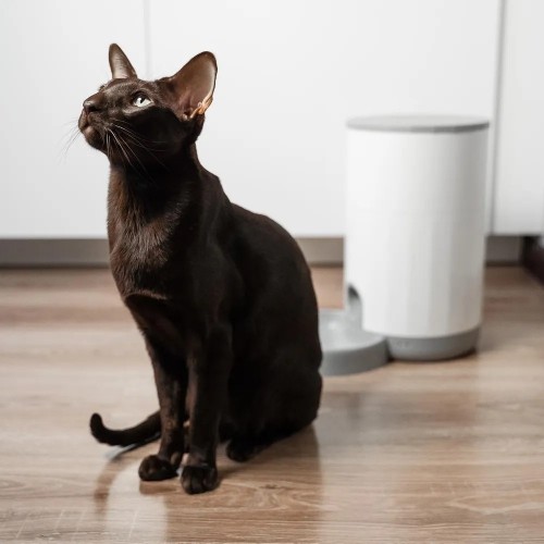 Petoneer Nutri Mini