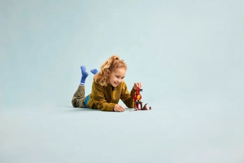 Lego Fawkes Dumbledores Phoenix 76448