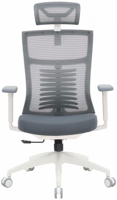 OfficePro Balance OC550