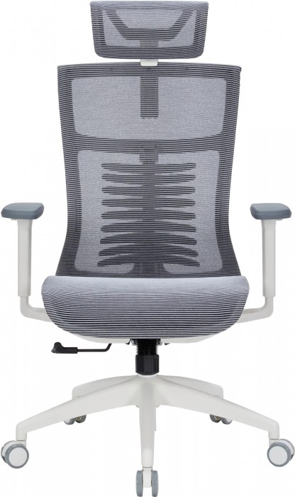 OfficePro Balance OC620