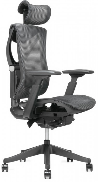 ADAPWORK S1 Mesh Senior ErgoChair