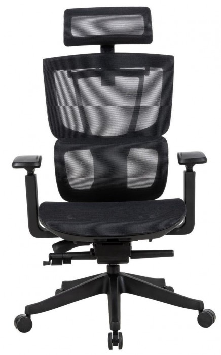 ADAPWORK S2 Mesh Senior ErgoChair