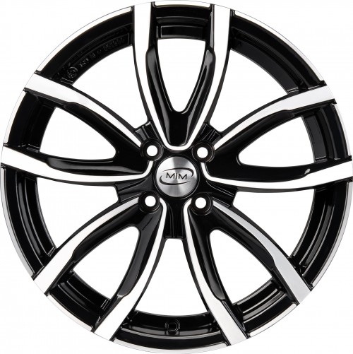 MIM Evo001