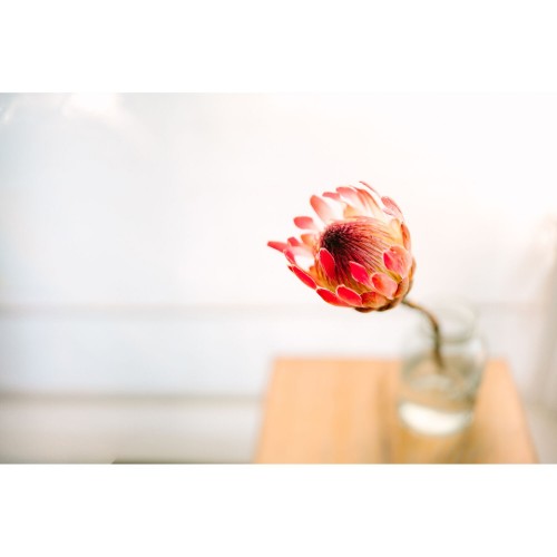 Sigma 35mm f/1.2 Art DG II