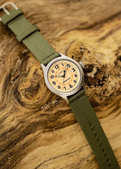 Timex Expedition North Sierra TW2V65800